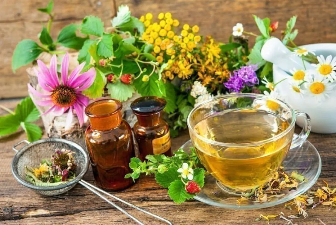 3 Herbal Yang Ampuh Untuk Menjaga Sistem Kekebalan Tubuh