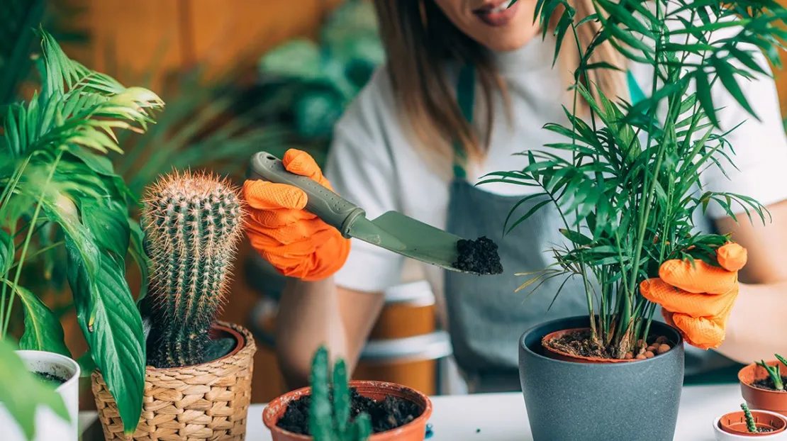 Yuk, Lakukan 4 Kegiatan Positif Ini di Akhir Pekan. Bisa Usir Bosan!